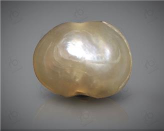 NATURAL PEARL / MOTI (BAS) 1.57 CTS.. ( 0011(11) )